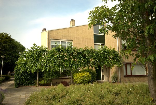 Kievitenburg 1, Rozenburg